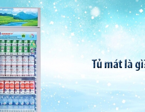 Tủ mát là gì? Phân biệt giữa tủ mát và tủ lạnh